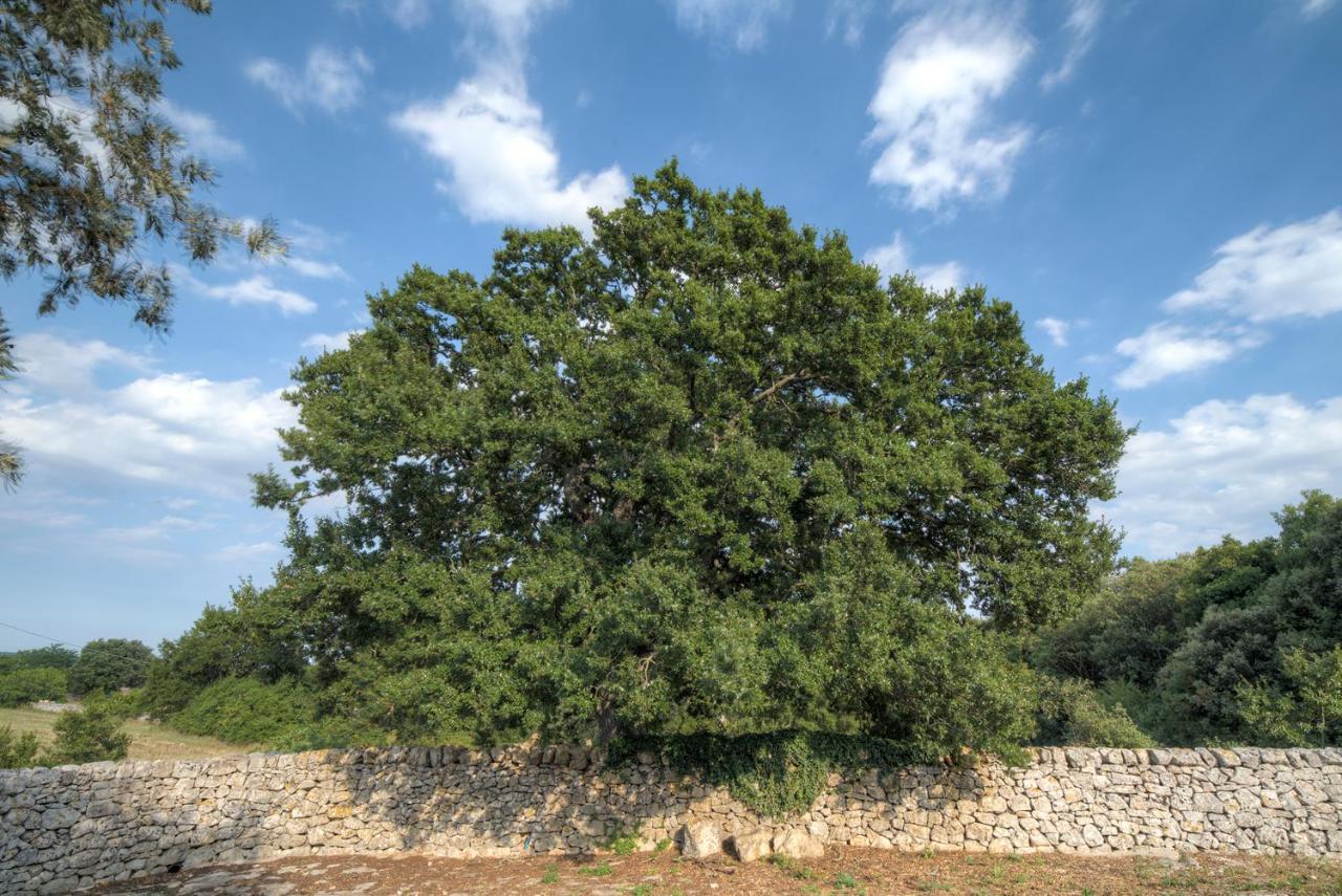 Willa Trulli Capo Di Lupo By Rentbeat Cisternino Zewnętrze zdjęcie